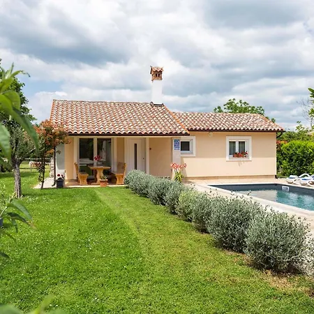 Darko Villa Svetvincenat