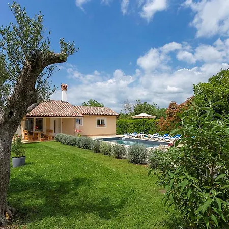 Villa Darko *